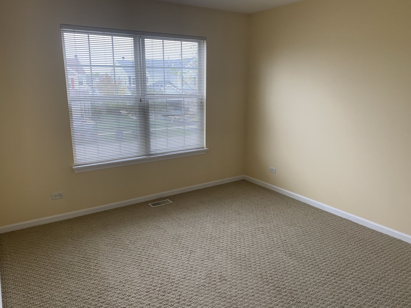 907 Genesee Drive Naperville, IL 60563 - Photo 11 of 23
