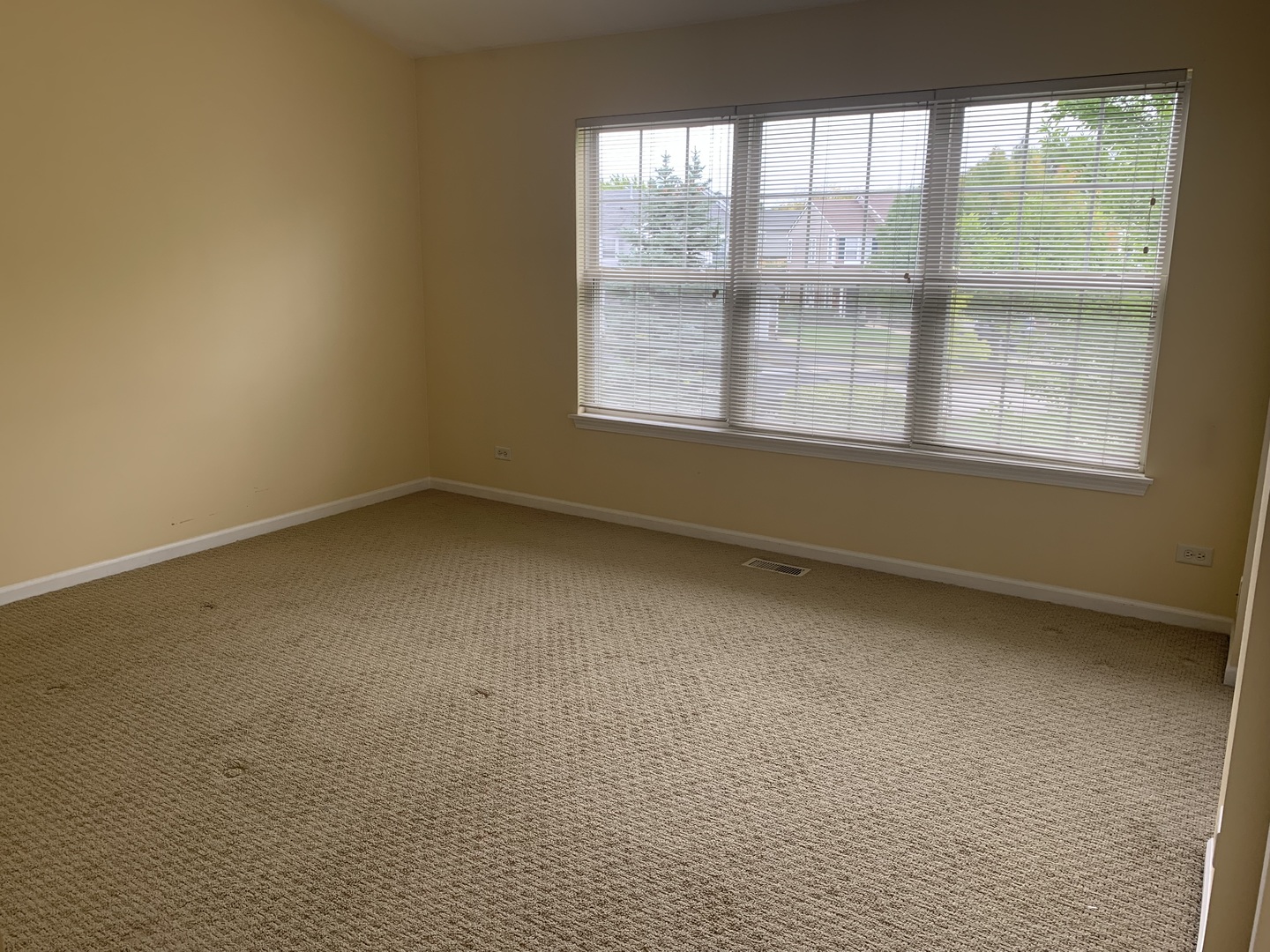 907 Genesee Drive Naperville, IL 60563 - Photo 13 of 23
