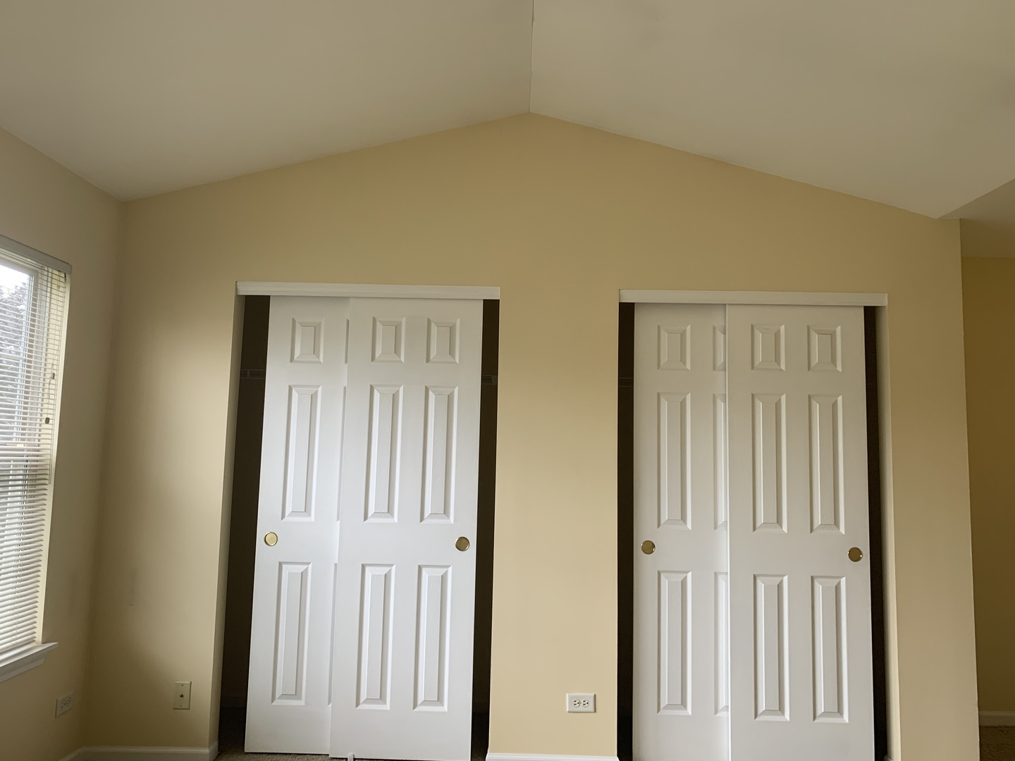 907 Genesee Drive Naperville, IL 60563 - Photo 14 of 23