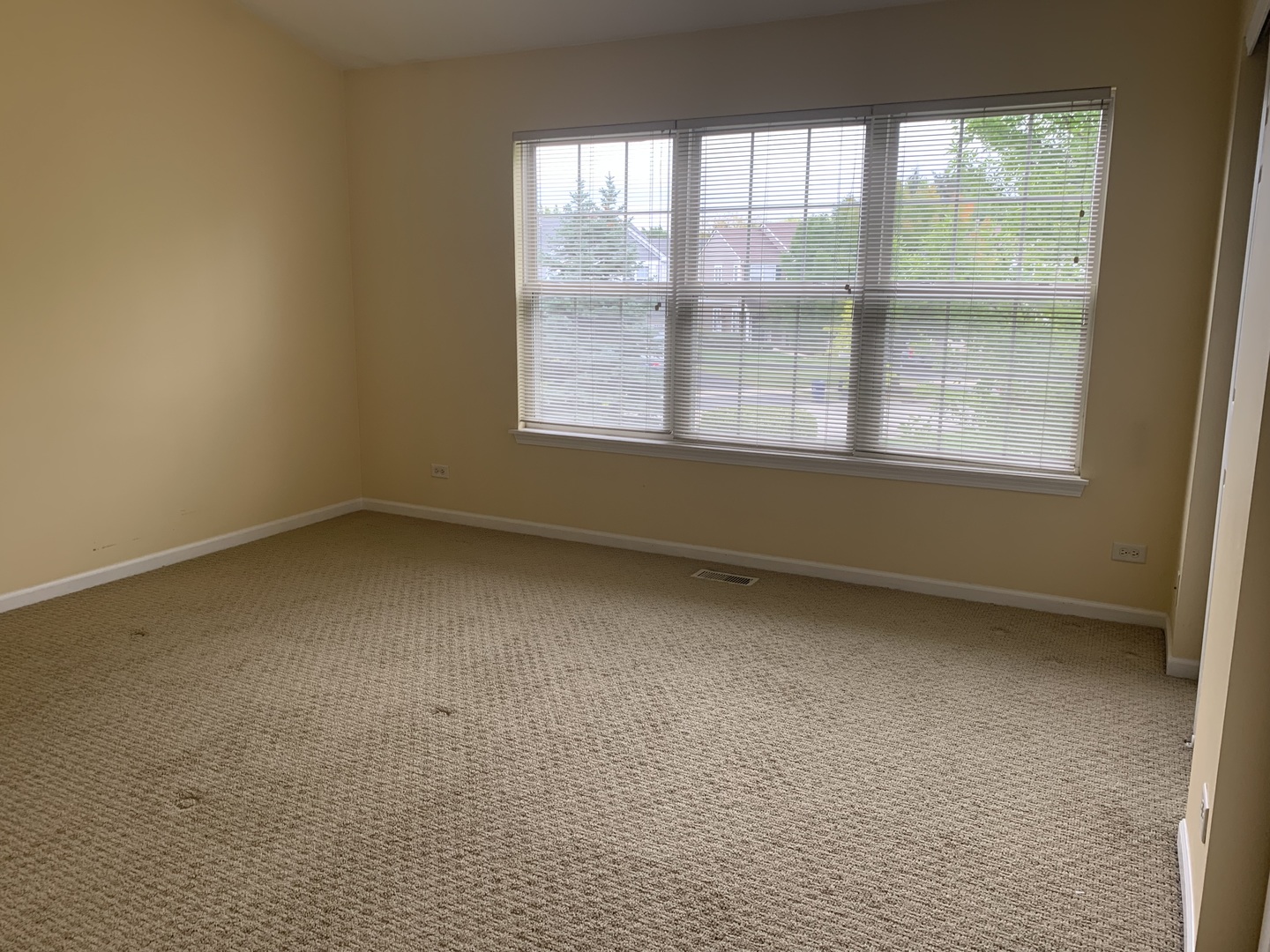 907 Genesee Drive Naperville, IL 60563 - Photo 15 of 23