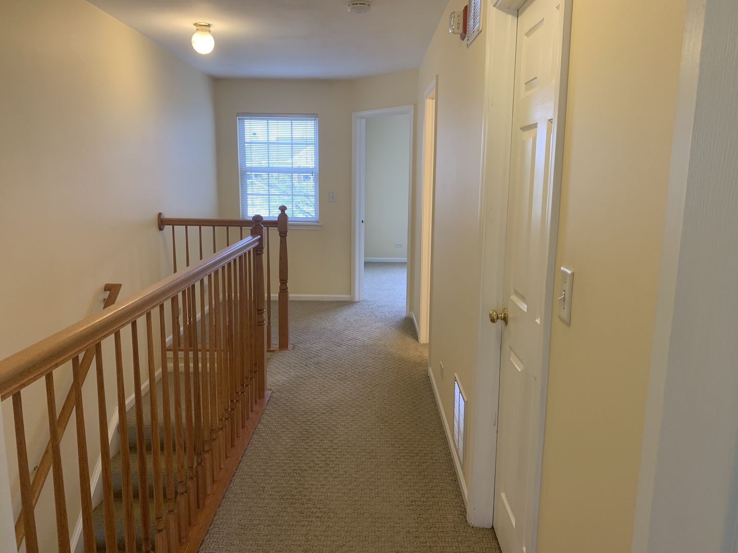 907 Genesee Drive Naperville, IL 60563 - Photo 16 of 23