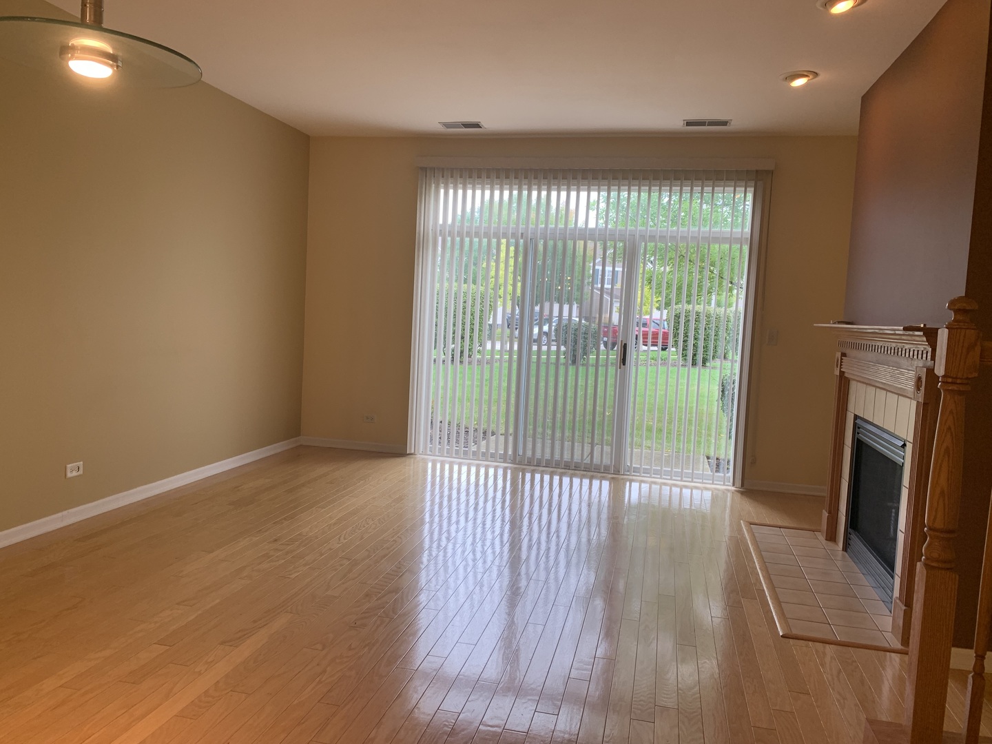 907 Genesee Drive Naperville, IL 60563 - Photo 7 of 23