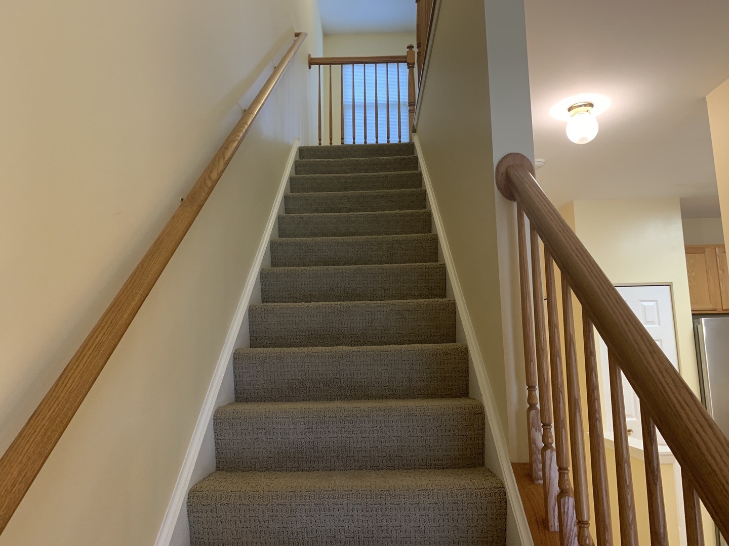 907 Genesee Drive Naperville, IL 60563 - Photo 10 of 23