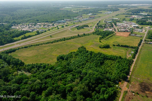 $2,950,000 | Cook Place, Canton, MS 39046