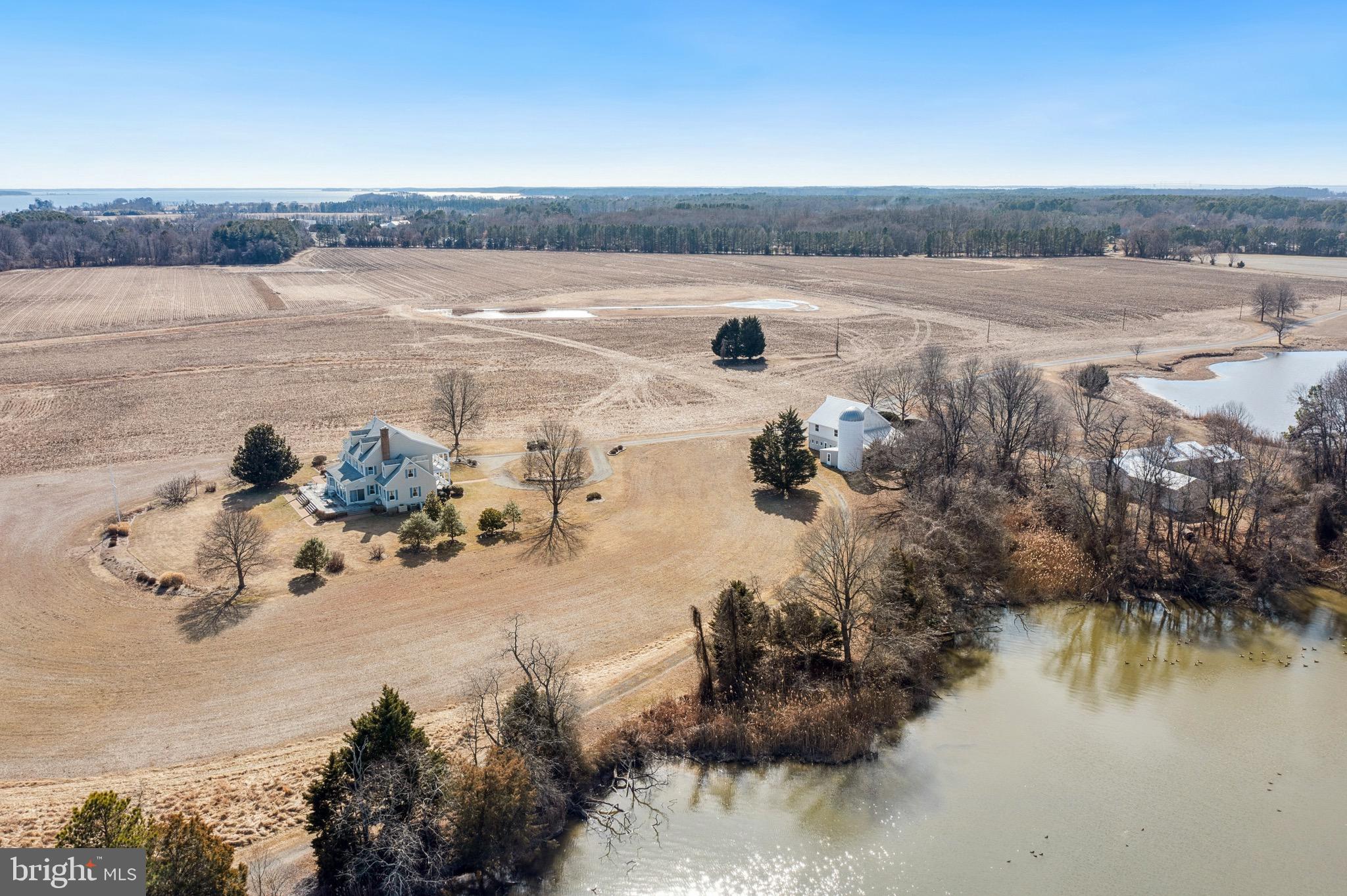5135 Crosby Road Rock Hall, MD 21661 - Photo 8 of 43 Farm is comprised of 3 parcels