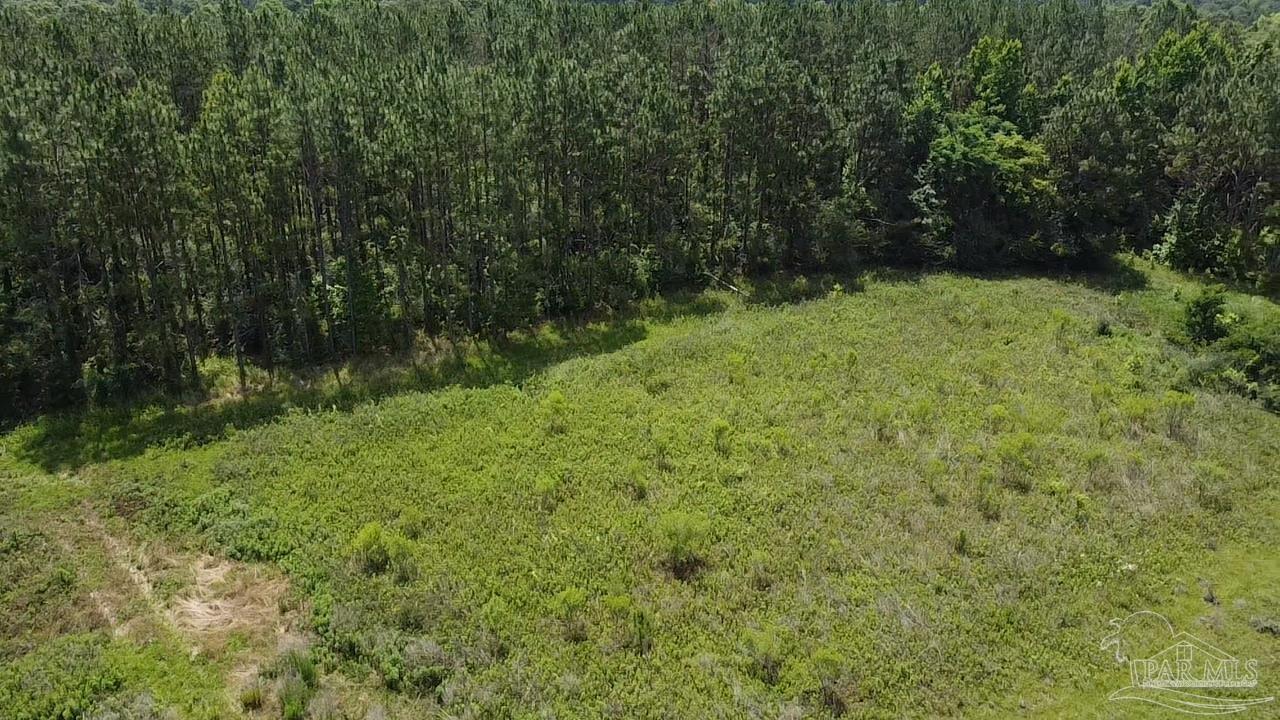 400 Block West Road Atmore, AL 36502 - Photo 1 of 27