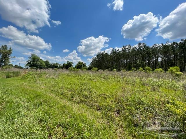 400 Block West Road Atmore, AL 36502 - Photo 11 of 27