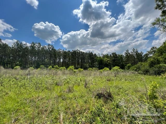 400 Block West Road Atmore, AL 36502 - Photo 12 of 27