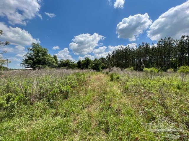 400 Block West Road Atmore, AL 36502 - Photo 13 of 27