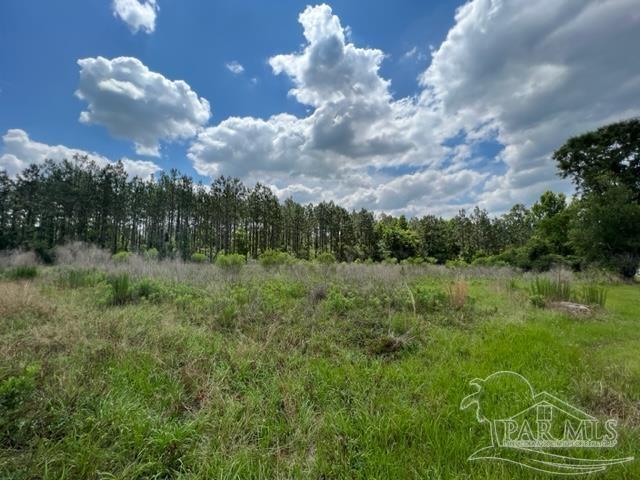 400 Block West Road Atmore, AL 36502 - Photo 14 of 27