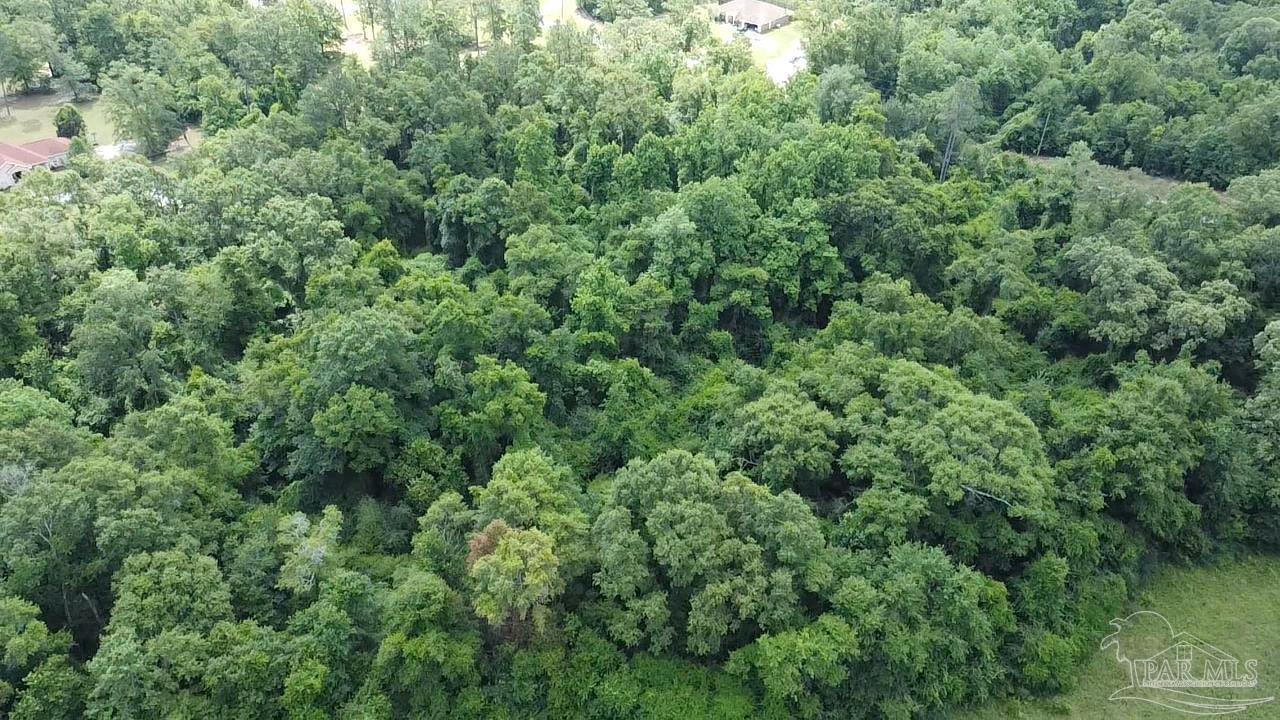 400 Block West Road Atmore, AL 36502 - Photo 19 of 27