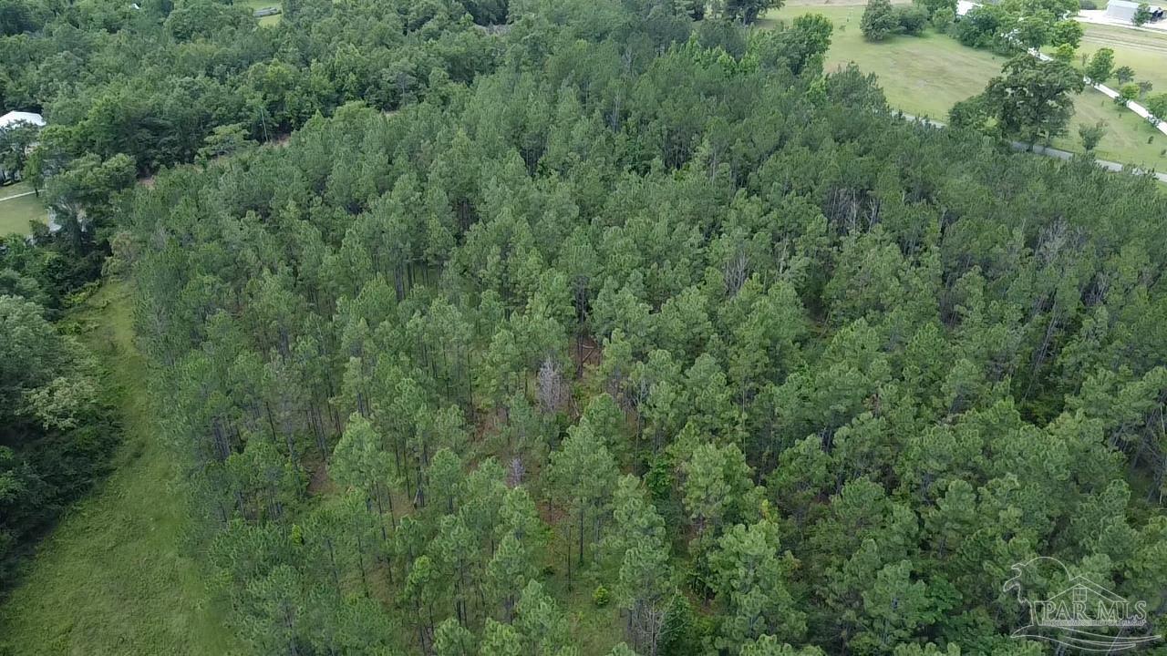 400 Block West Road Atmore, AL 36502 - Photo 20 of 27