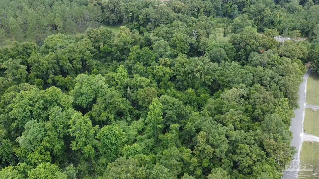 400 Block West Road Atmore, AL 36502 - Photo 22 of 27
