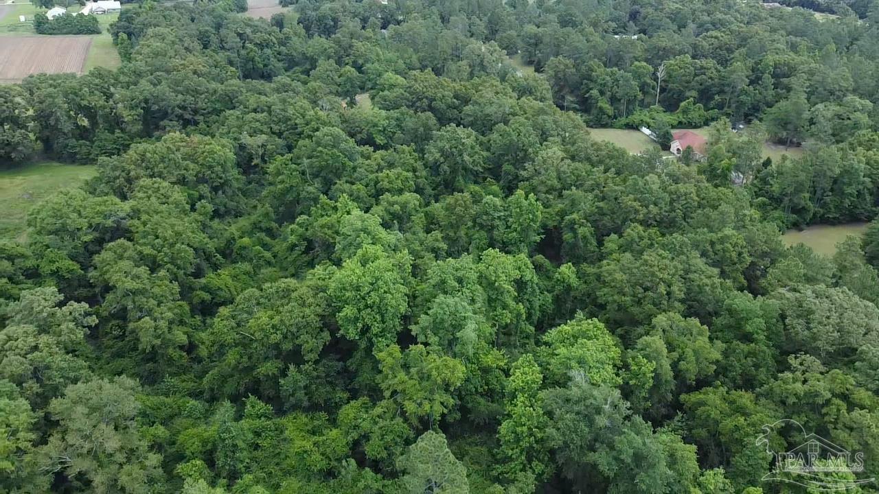 400 Block West Road Atmore, AL 36502 - Photo 25 of 27