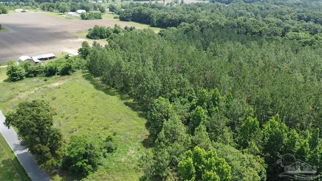 400 Block West Road Atmore, AL 36502 - Photo 5 of 27