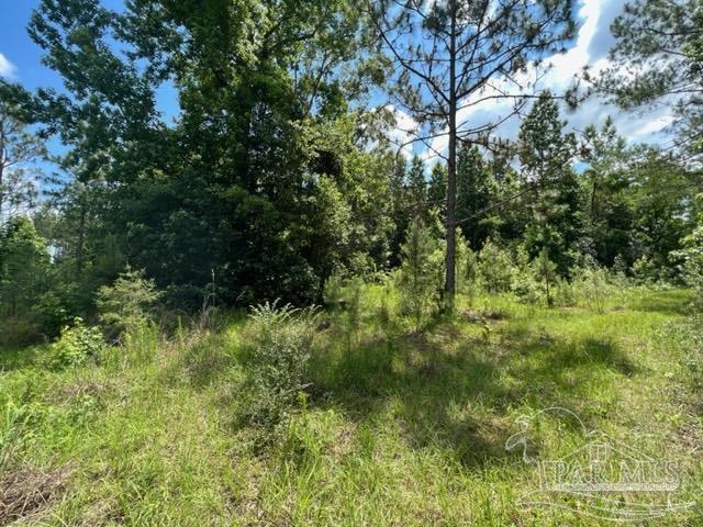 400 Block West Road Atmore, AL 36502 - Photo 7 of 27