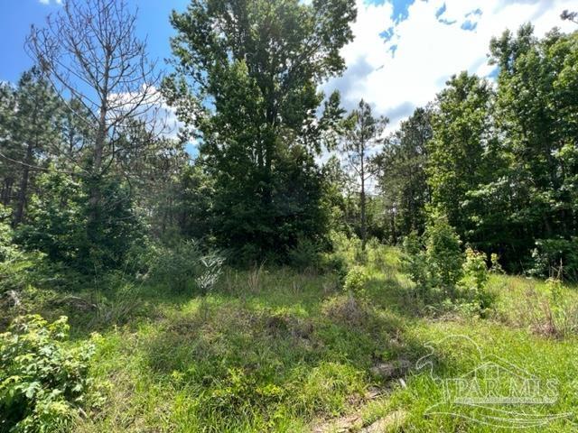 400 Block West Road Atmore, AL 36502 - Photo 8 of 27