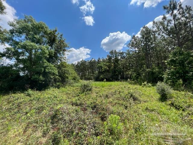 400 Block West Road Atmore, AL 36502 - Photo 9 of 27