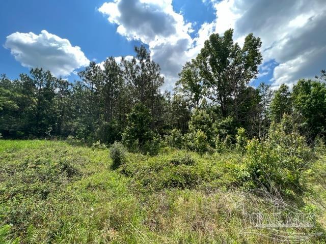 400 Block West Road Atmore, AL 36502 - Photo 10 of 27