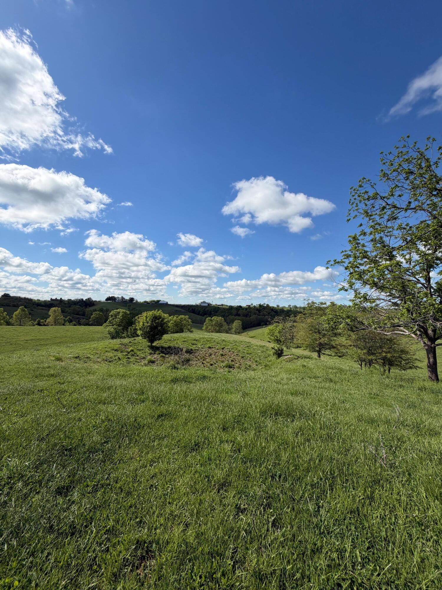 6.93-ac Chipman Ridge Road Williamstown, KY 41097 - Photo 8 of 10