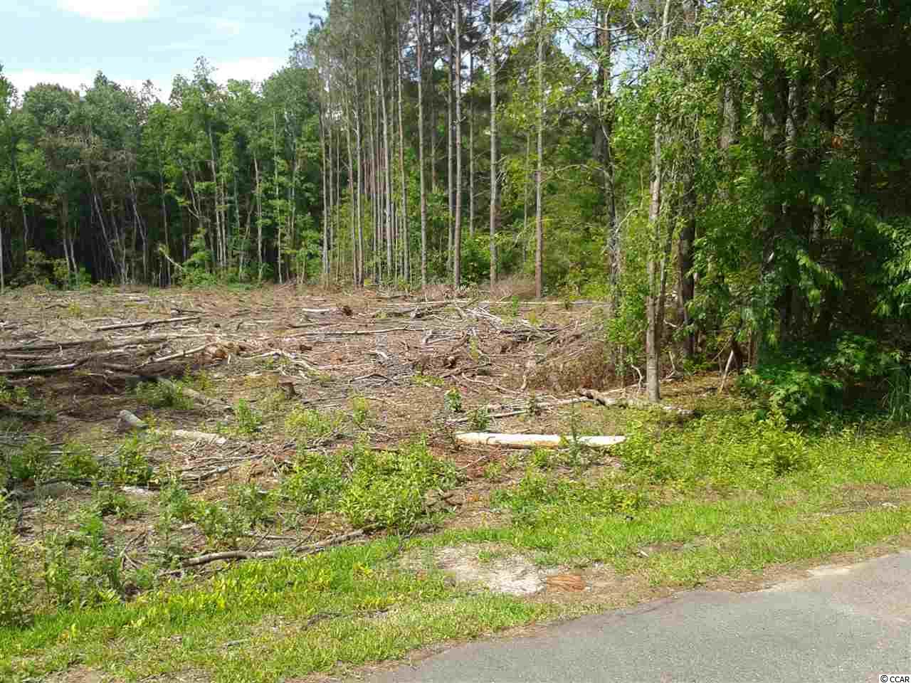 Lot 2 Sandy Branch Road Longs, SC 29568 - Photo 1 of 3 Gallery Image 1