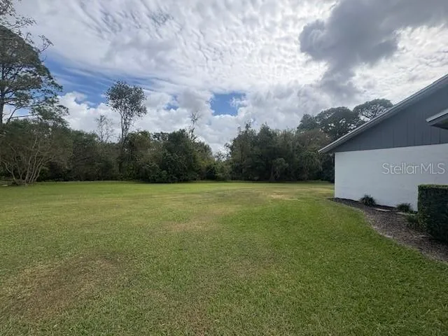 a view of a backyard