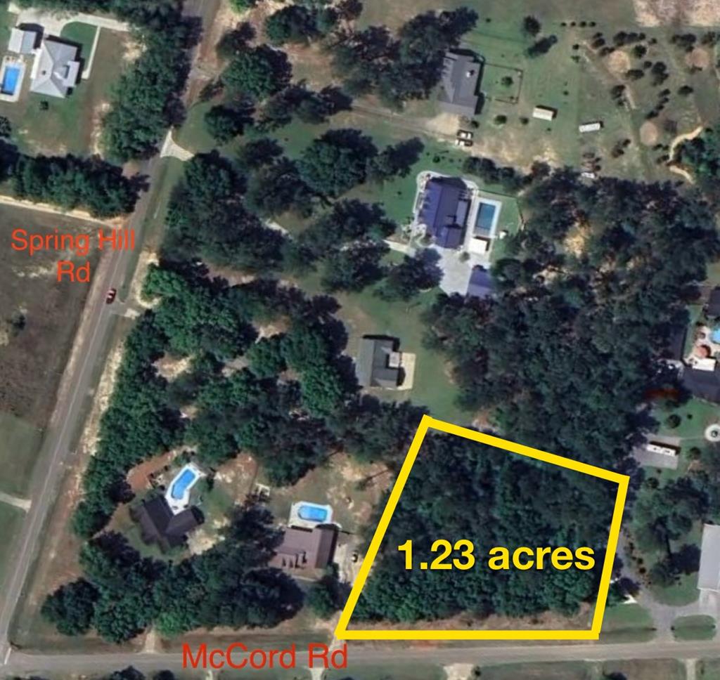 0 McCord Road Dothan, AL 36301 - Photo 1 of 1