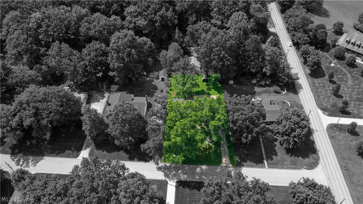 2411 Ridgeview Lane Youngstown, OH 44514 - Photo 40 of 48 Expansive lot featuring mature trees and green landscaping