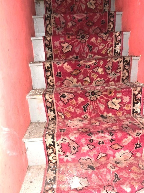 Undisclosed Address Chicago, IL 60639 - Photo 7 of 33 view of backyard