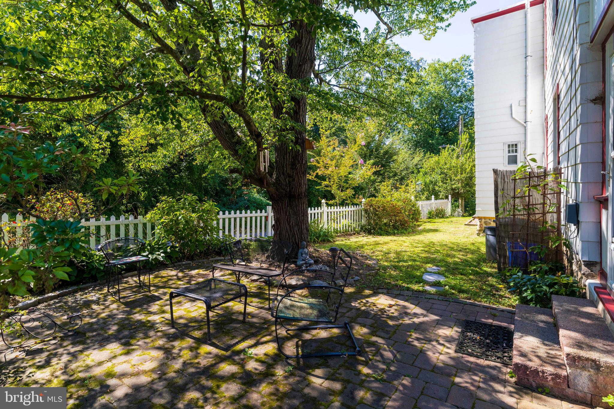 6020 Bridget Street Philadelphia, PA 19144 - Photo 26 of 43 a view of a yard with plants and trees