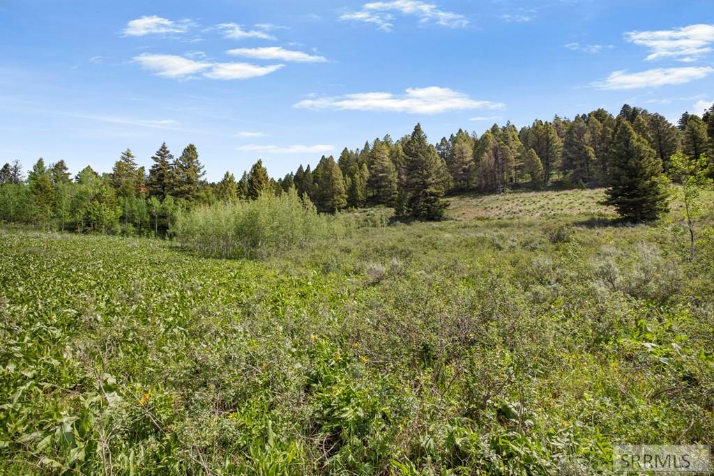 5128 West Rees Drive Island Park, ID 83429 - Photo 11 of 15