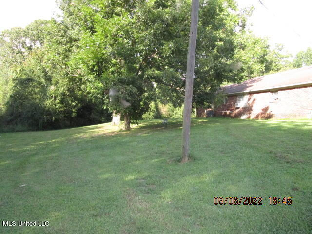 2647 Sycamore Road Coldwater, MS 38618 - Photo 43 of 45 IMG_3663