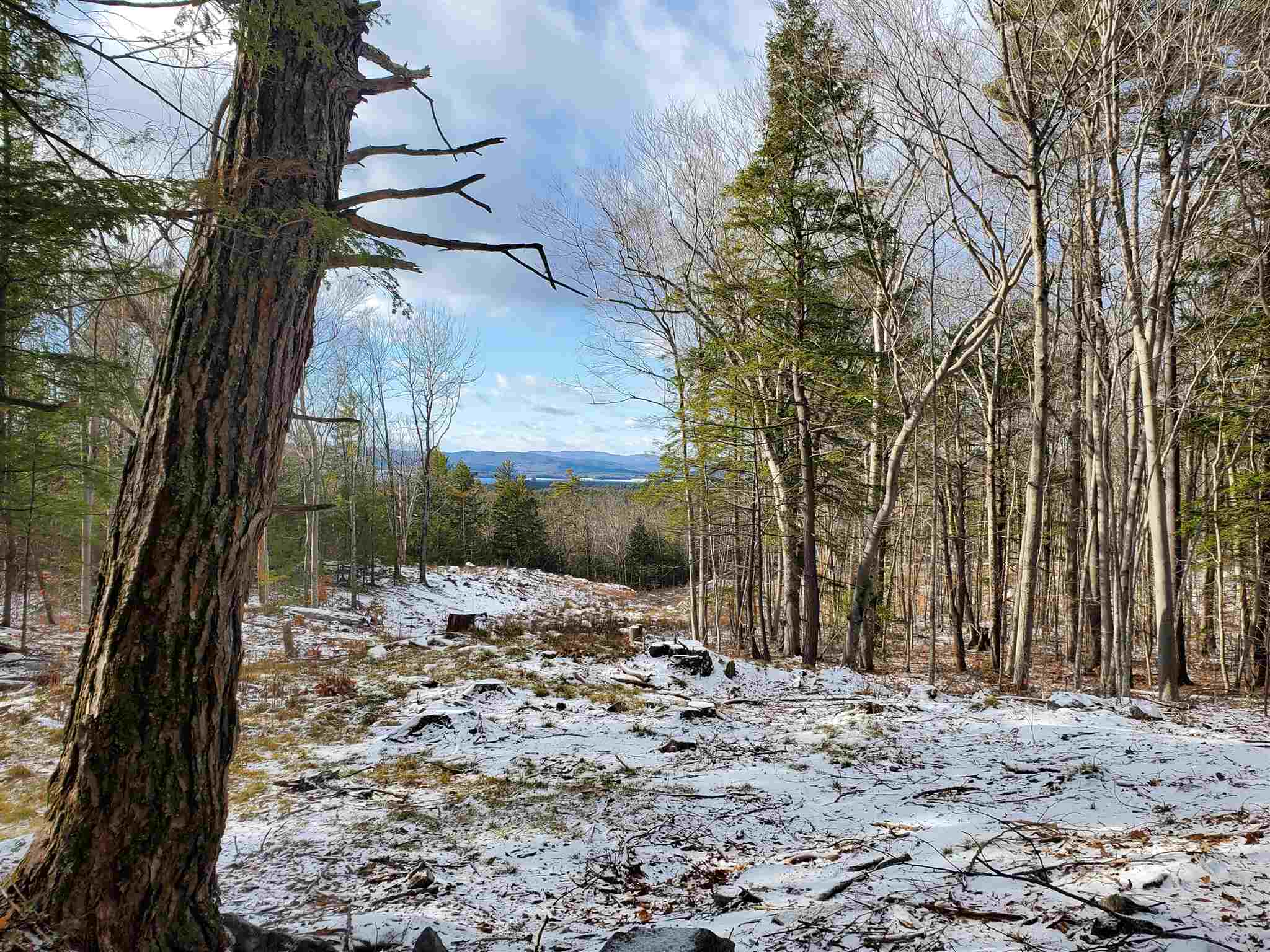 Lot 15 Buzzell Ridge Road, Unit 6 Sandwich, NH 03227 - Photo 1 of 31