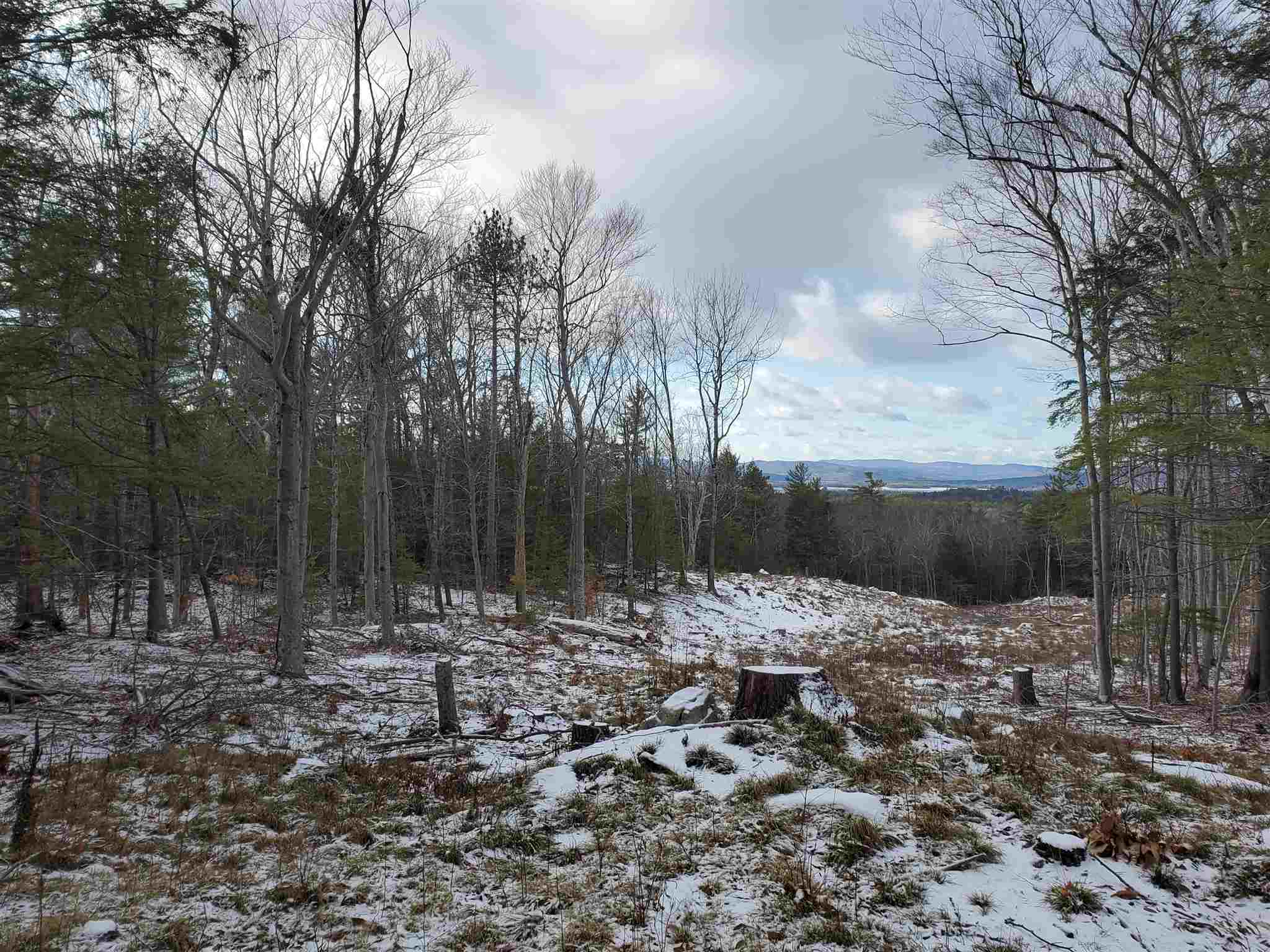 Lot 15 Buzzell Ridge Road, Unit 6 Sandwich, NH 03227 - Photo 12 of 31
