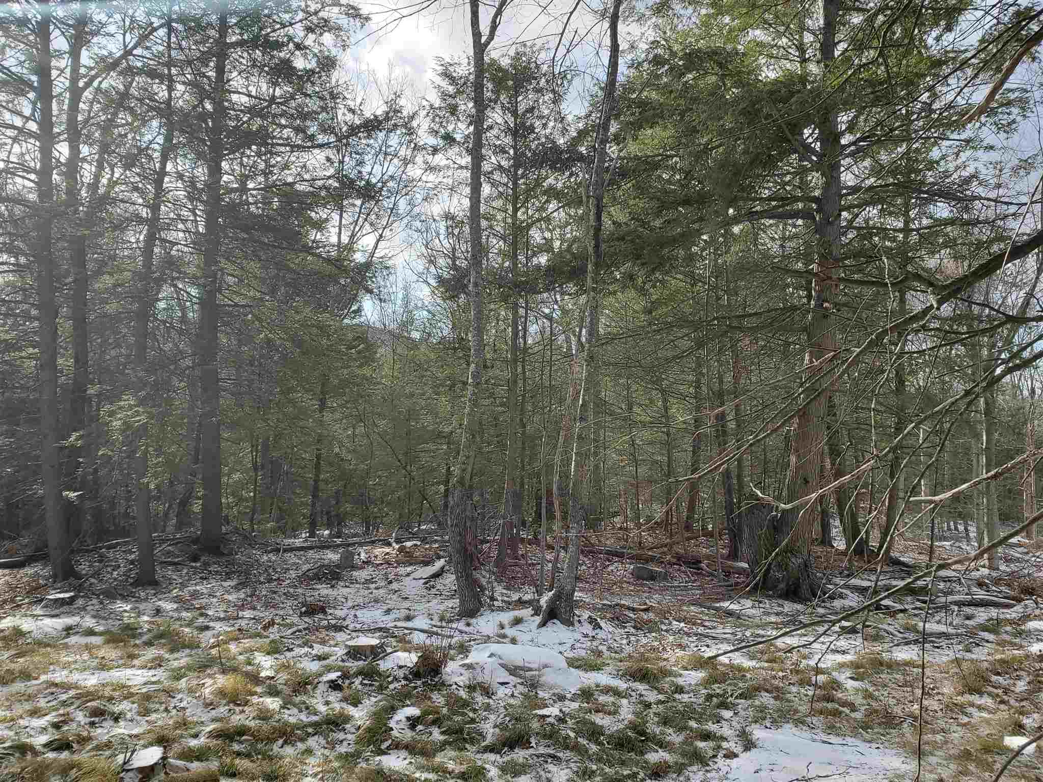 Lot 15 Buzzell Ridge Road, Unit 6 Sandwich, NH 03227 - Photo 13 of 31