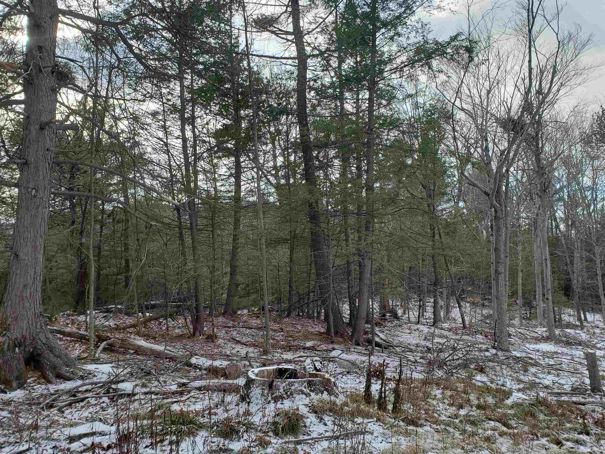 Lot 15 Buzzell Ridge Road, Unit 6 Sandwich, NH 03227 - Photo 14 of 31