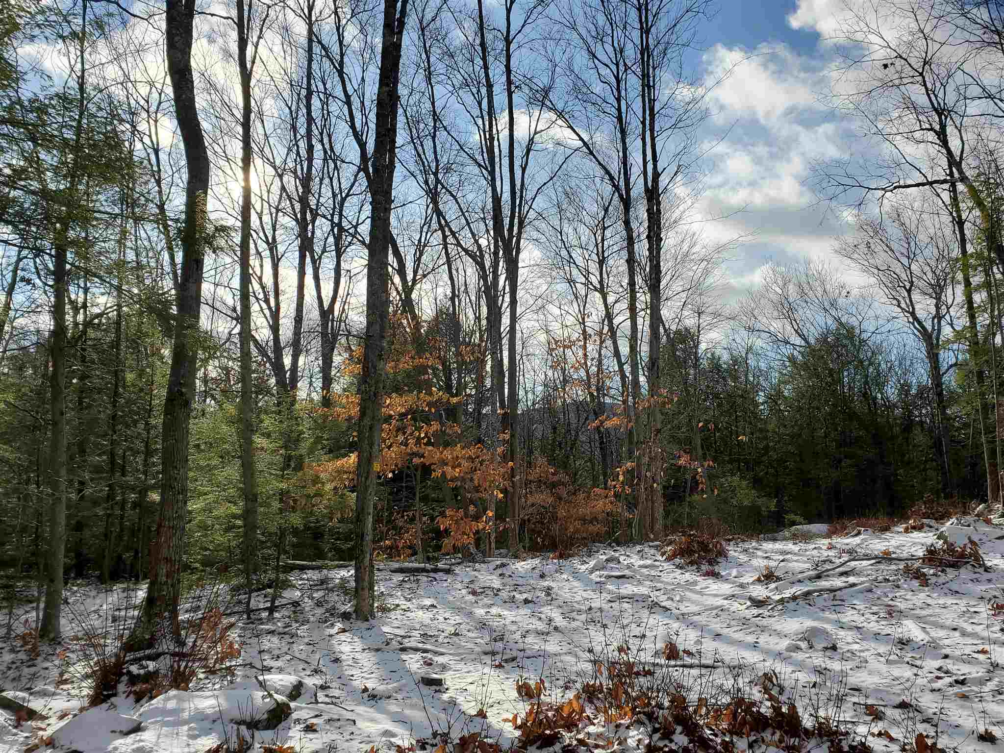 Lot 15 Buzzell Ridge Road, Unit 6 Sandwich, NH 03227 - Photo 15 of 31