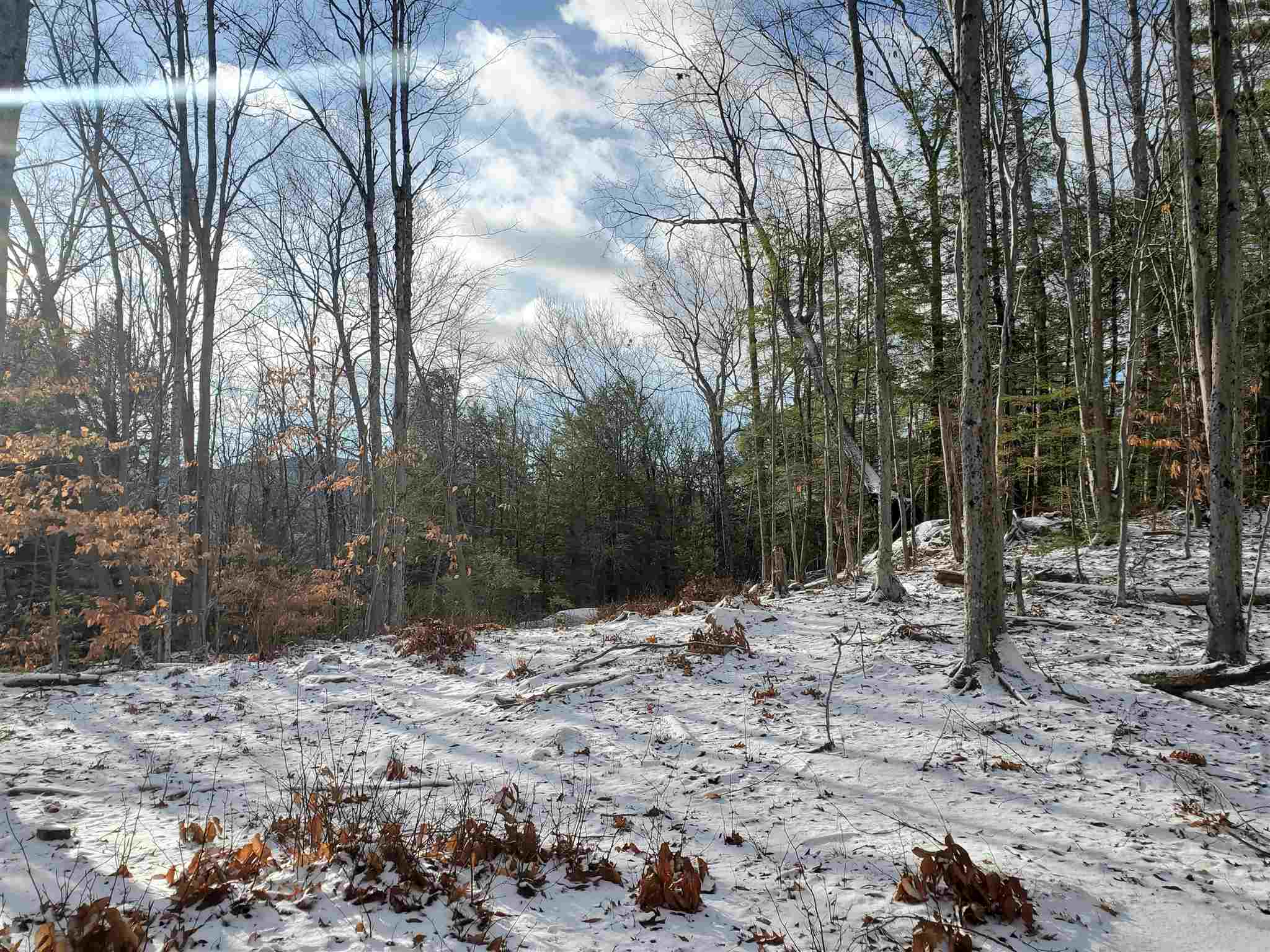 Lot 15 Buzzell Ridge Road, Unit 6 Sandwich, NH 03227 - Photo 16 of 31