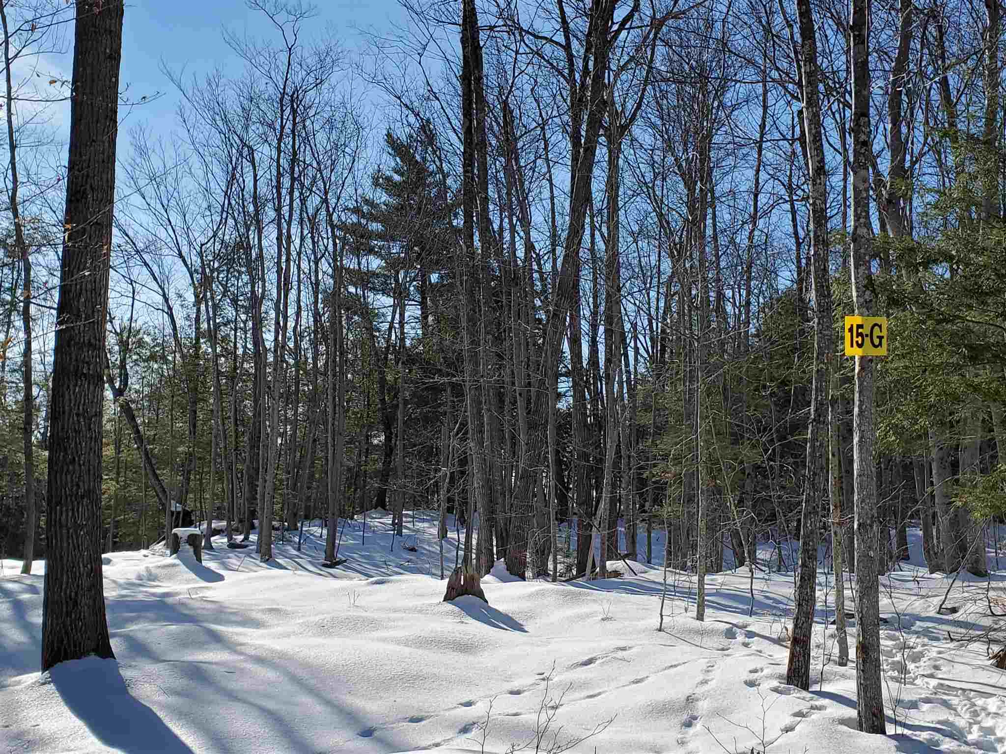 Lot 15 Buzzell Ridge Road, Unit 6 Sandwich, NH 03227 - Photo 18 of 31