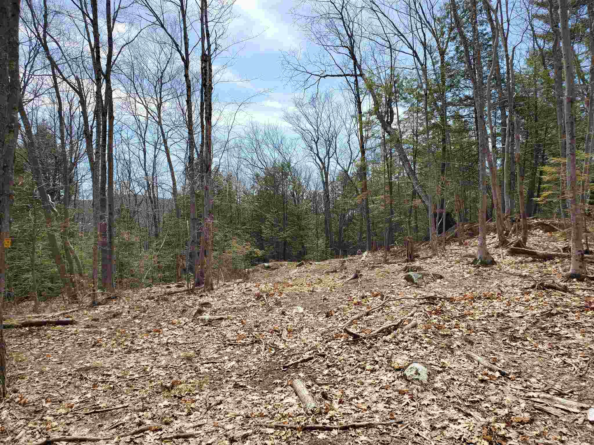Lot 15 Buzzell Ridge Road, Unit 6 Sandwich, NH 03227 - Photo 20 of 31