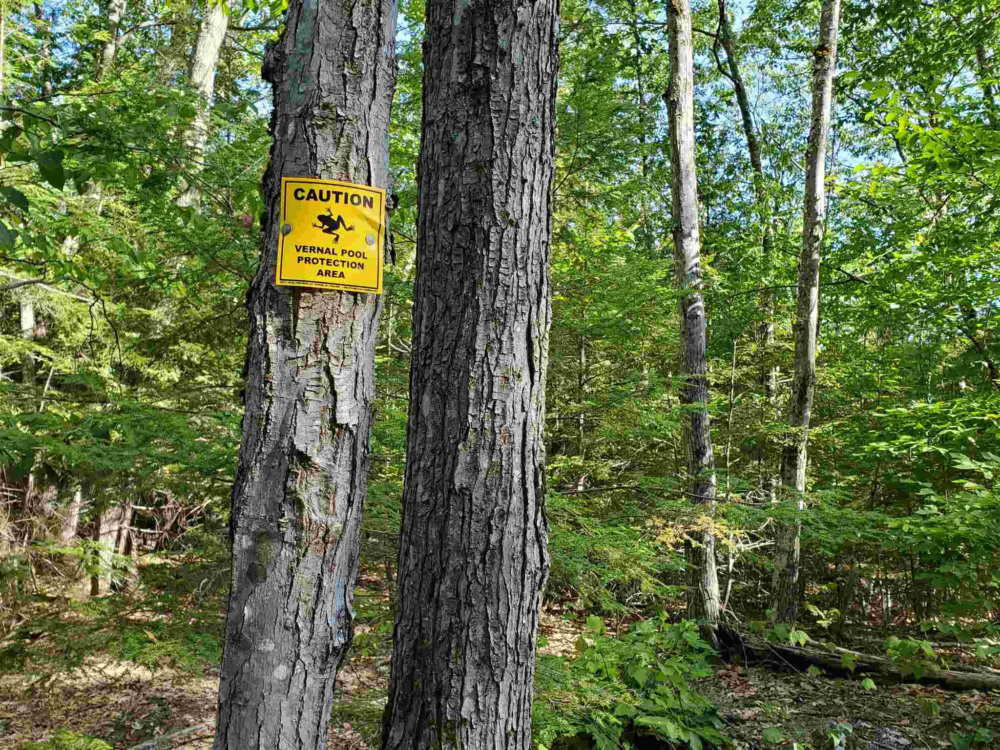 Lot 15 Buzzell Ridge Road, Unit 6 Sandwich, NH 03227 - Photo 23 of 31