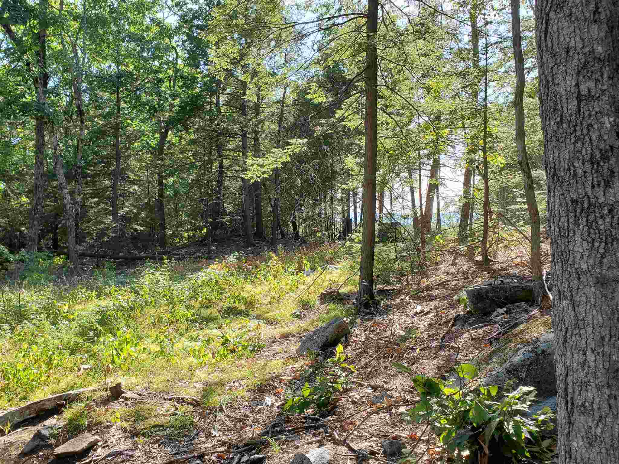 Lot 15 Buzzell Ridge Road, Unit 6 Sandwich, NH 03227 - Photo 24 of 31