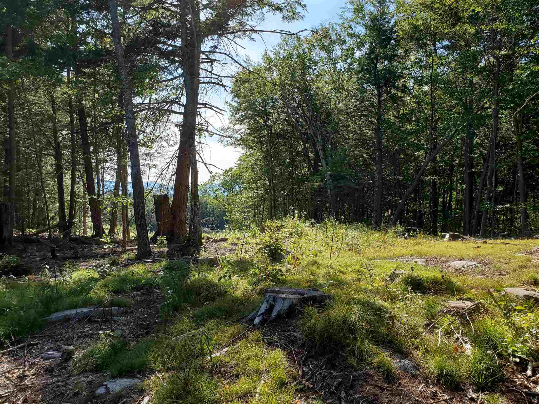 Lot 15 Buzzell Ridge Road, Unit 6 Sandwich, NH 03227 - Photo 25 of 31