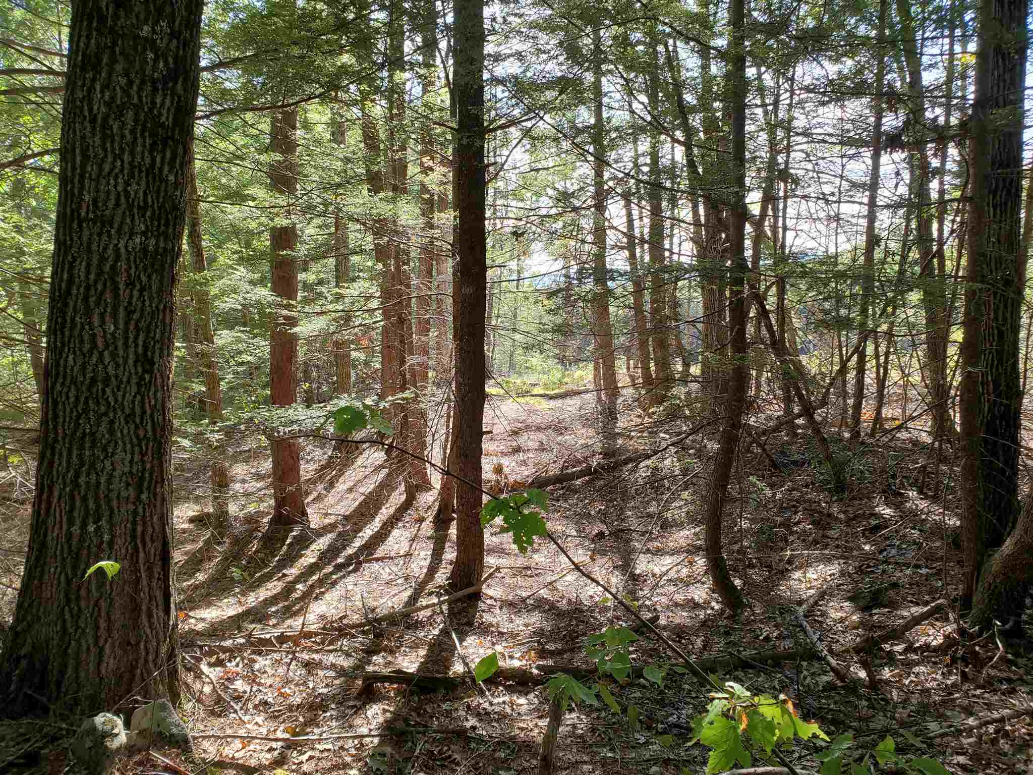 Lot 15 Buzzell Ridge Road, Unit 6 Sandwich, NH 03227 - Photo 26 of 31