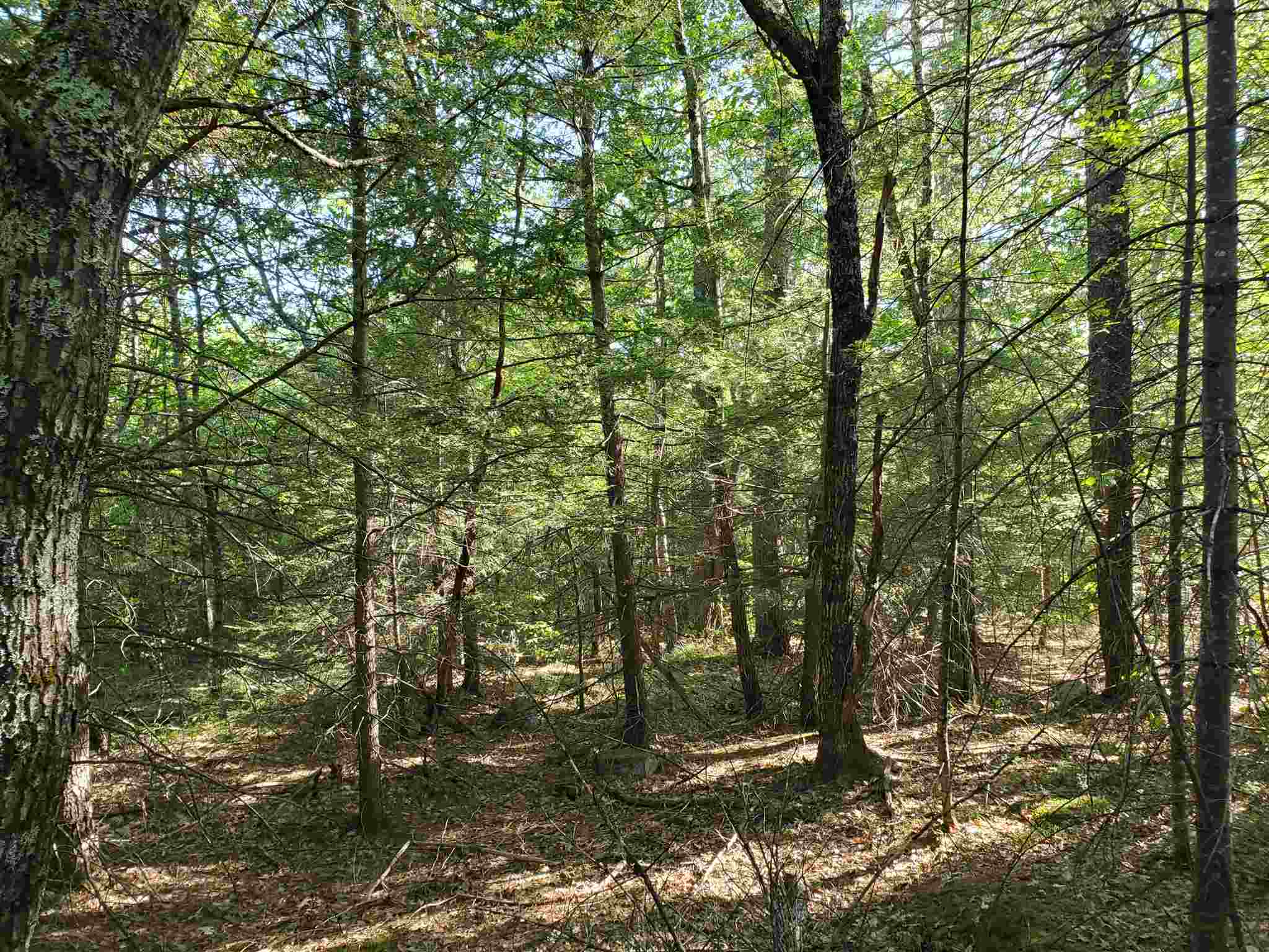 Lot 15 Buzzell Ridge Road, Unit 6 Sandwich, NH 03227 - Photo 27 of 31