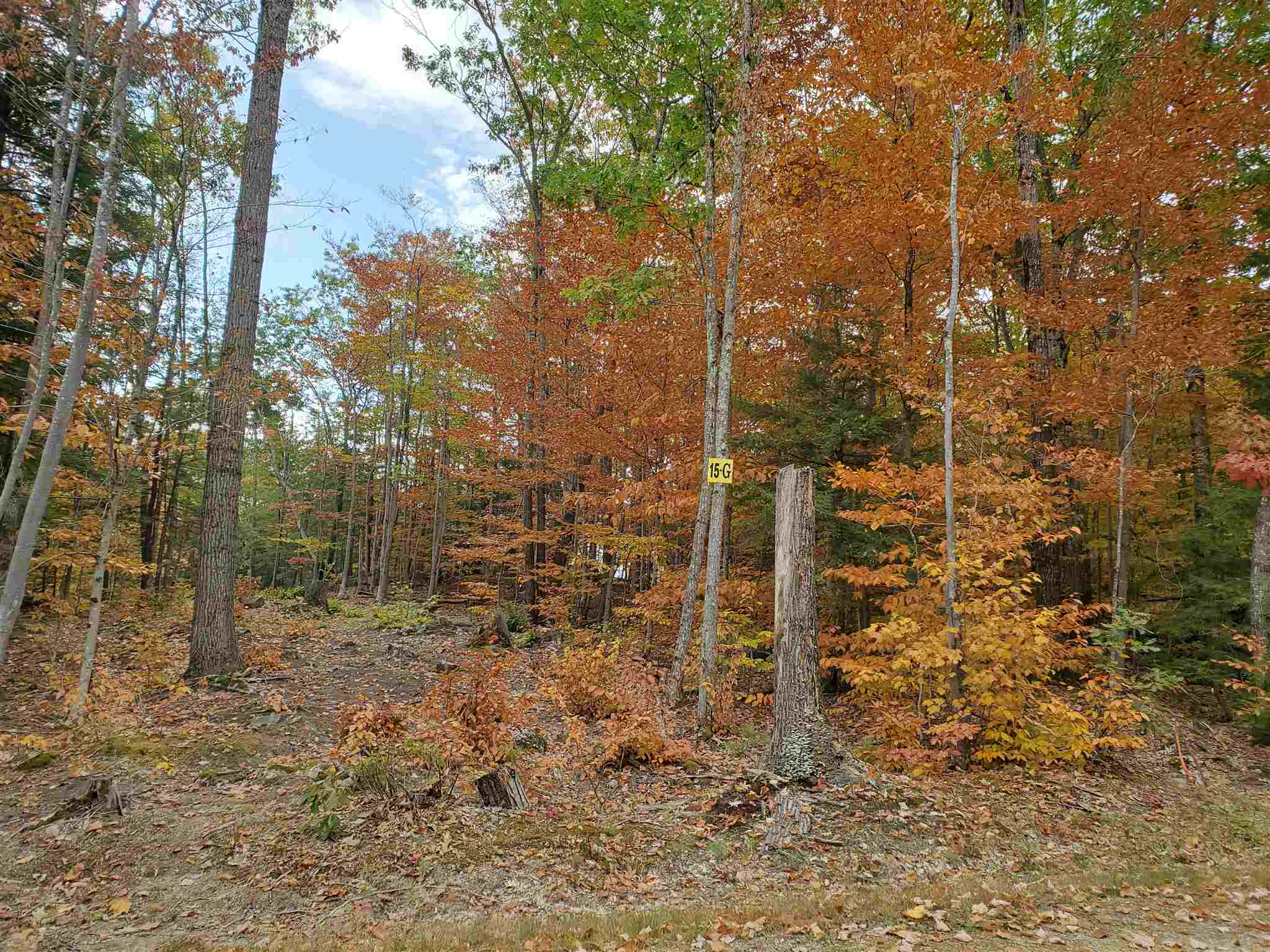 Lot 15 Buzzell Ridge Road, Unit 6 Sandwich, NH 03227 - Photo 28 of 31