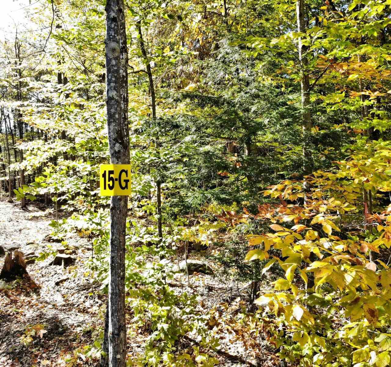 Lot 15 Buzzell Ridge Road, Unit 6 Sandwich, NH 03227 - Photo 29 of 31