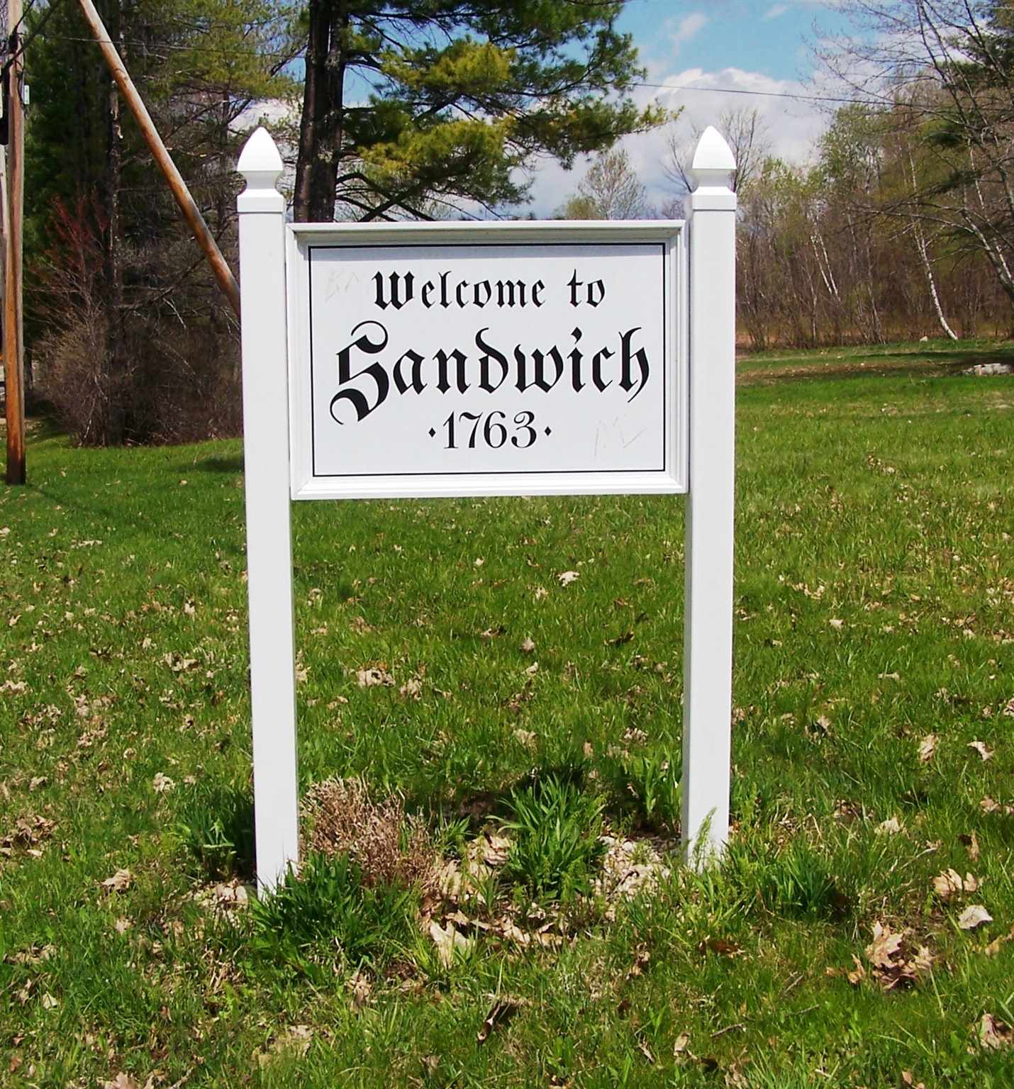Lot 15 Buzzell Ridge Road, Unit 6 Sandwich, NH 03227 - Photo 31 of 31
