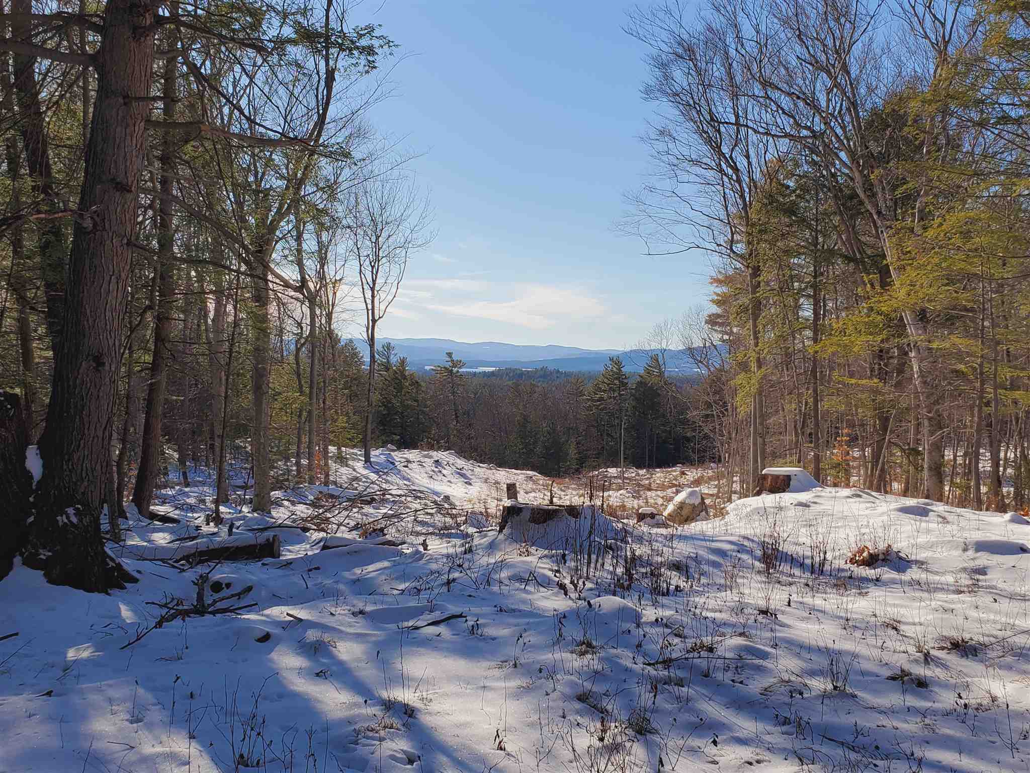Lot 15 Buzzell Ridge Road, Unit 6 Sandwich, NH 03227 - Photo 6 of 31