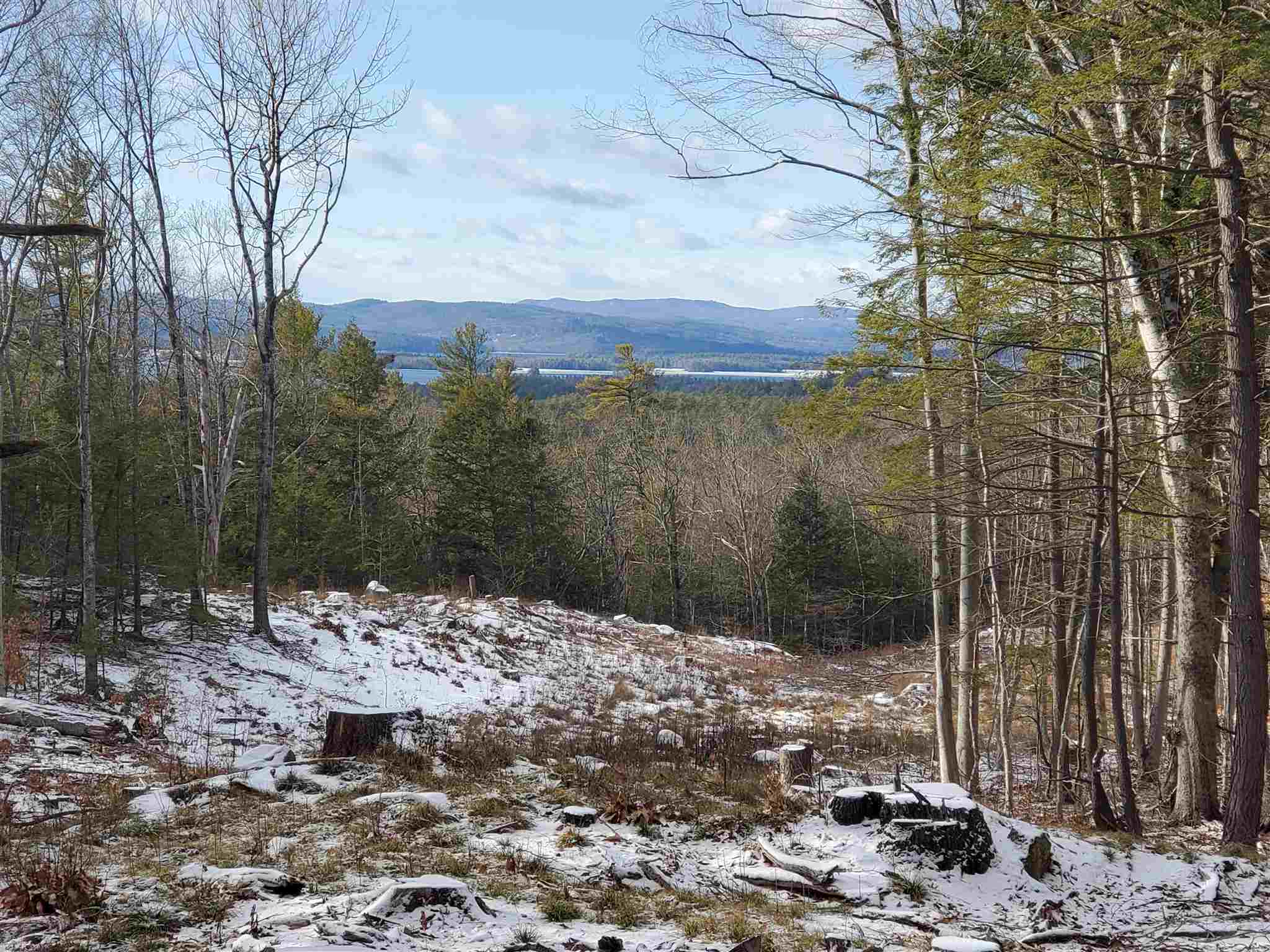 Lot 15 Buzzell Ridge Road, Unit 6 Sandwich, NH 03227 - Photo 8 of 31